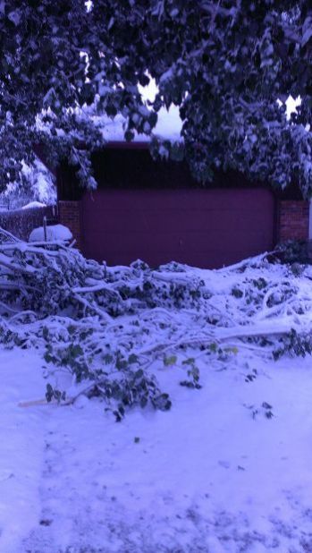 Winter Storm Atlas